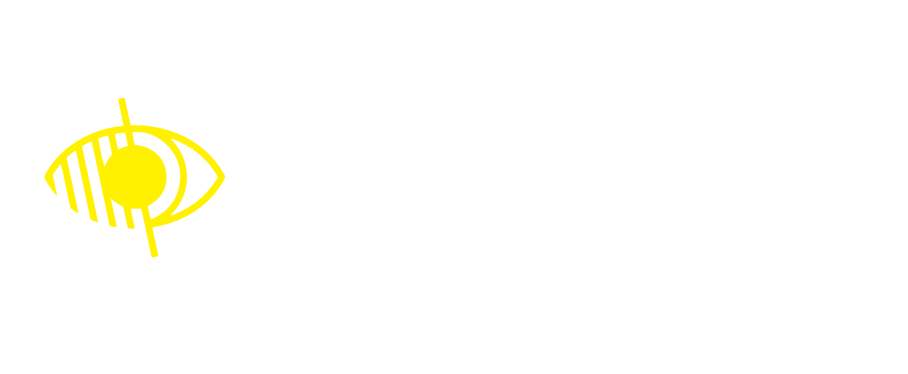 ieye low vision services